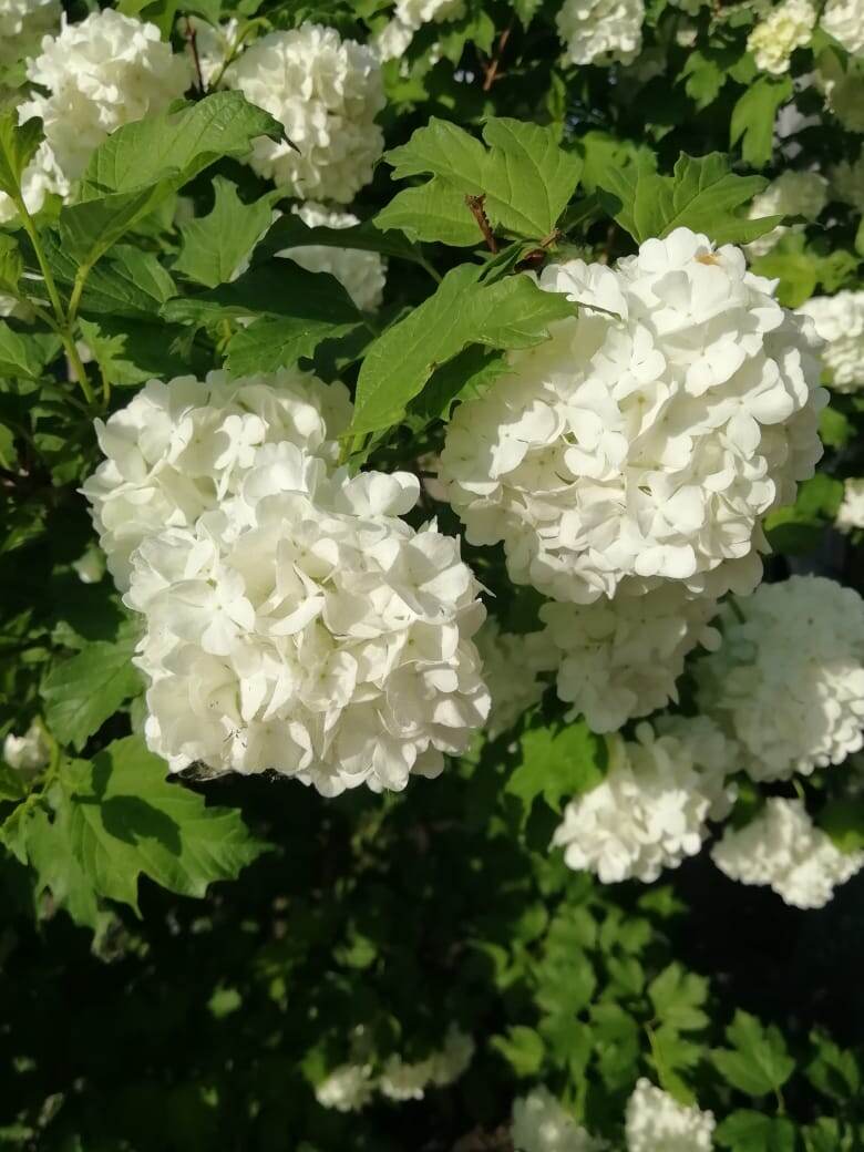 архив фото автора канала.