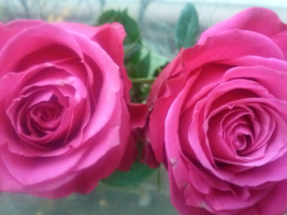 Фото из личного архива.