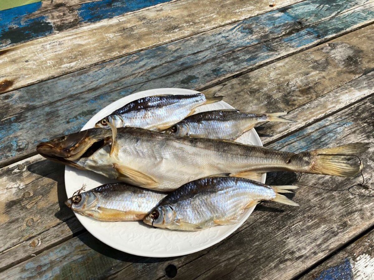 Fish on. Грюньон рыба