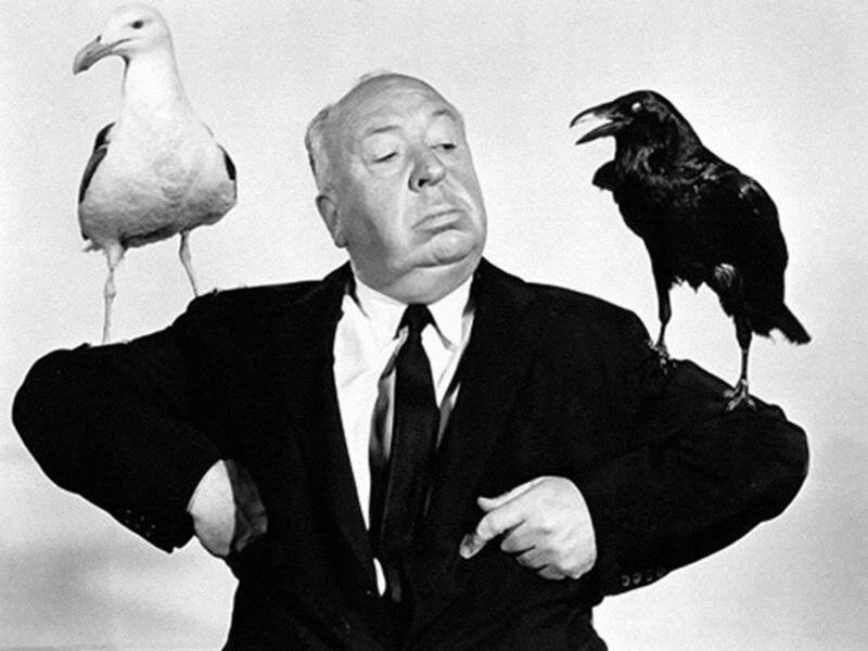 фото взято из https://www.vokrug.tv/product/show/the_birds/