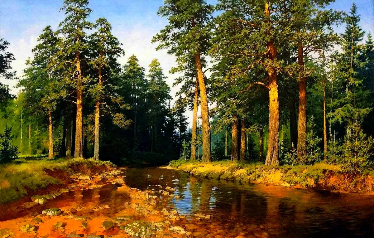 Картина ручей в березовом лесу
