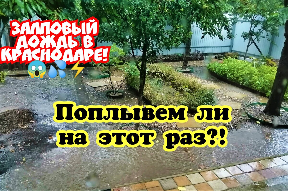 Снова "залповый" дождь. Собственное фото.