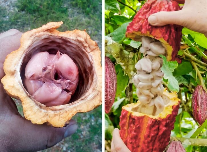 © Vladimir.VE / pikabu, © Vladimir.VE / pikabu