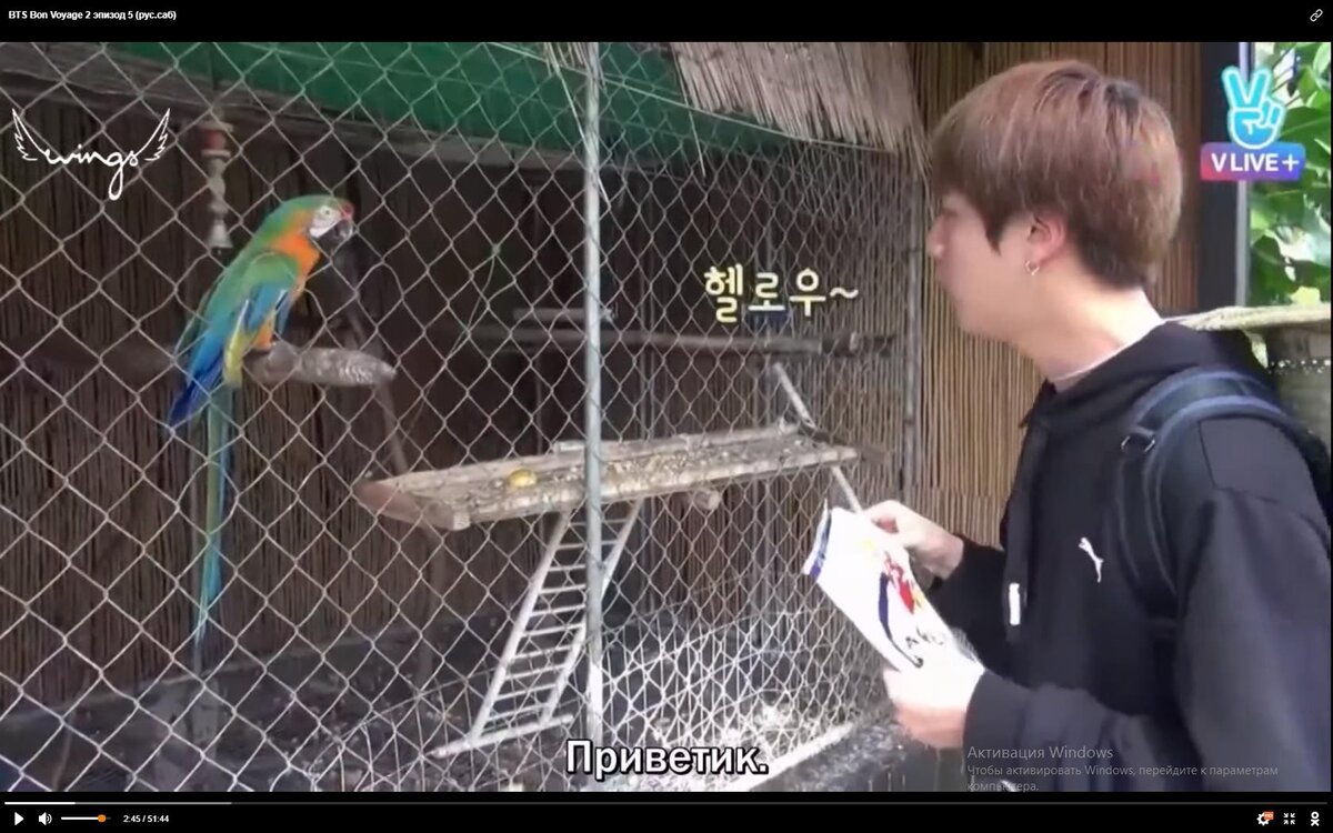 BTS. Bon Voyage. Season 2. Episode 5.