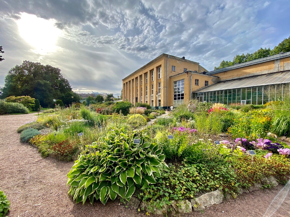 Внутри сада, 