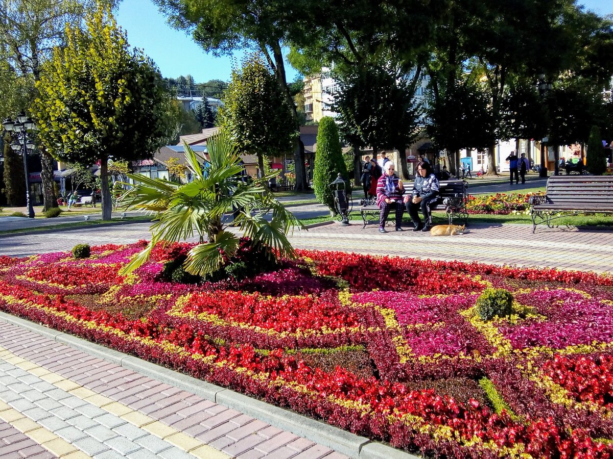 парк в кисловодске осенью