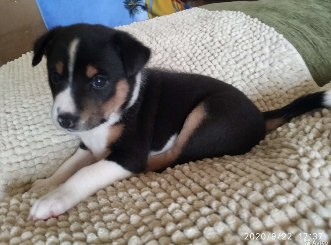 То самое фото в которое я влюбился!