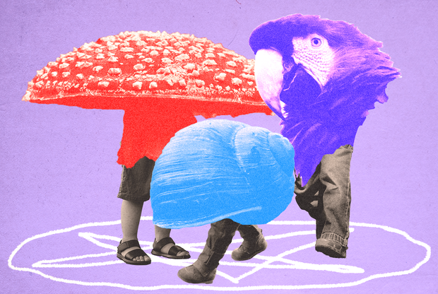 © Коллаж Chips Journal