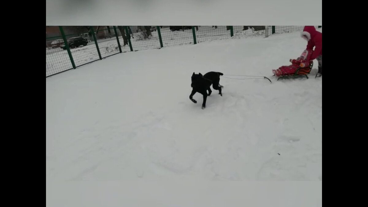 Источник YouTube