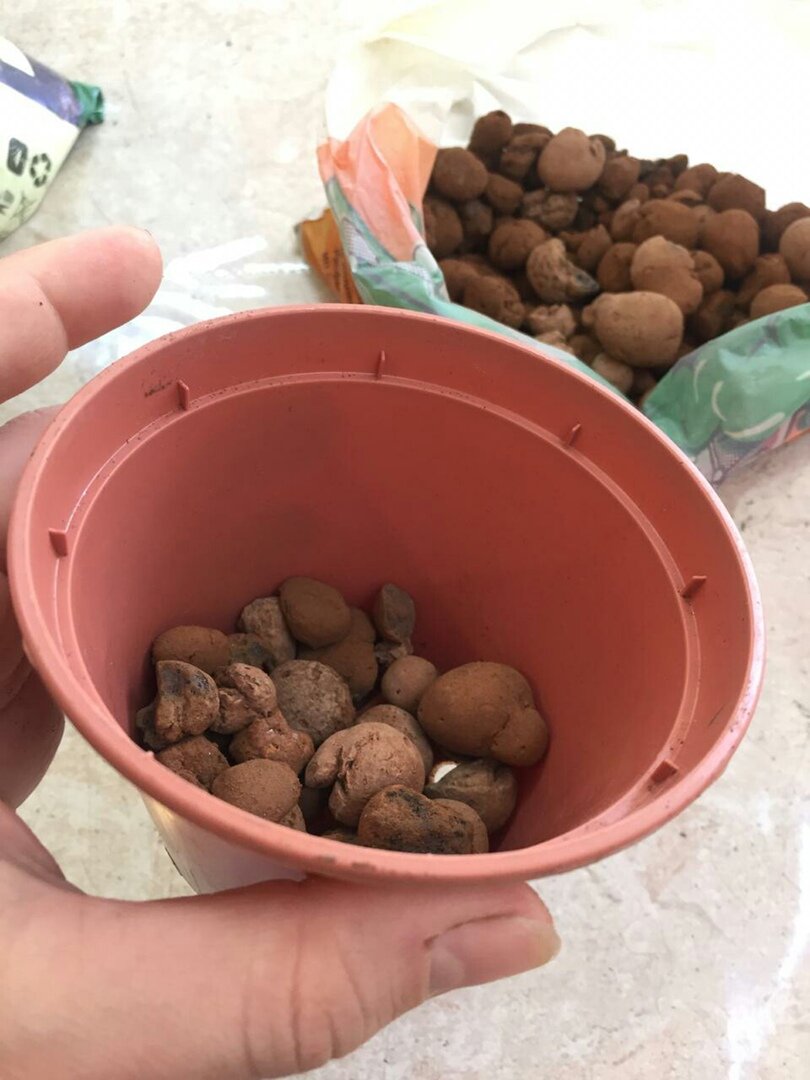 на дно горшка насыпала керамзит (дренаж, чтоб предотвращать застой воды после полива), а затем грунт;