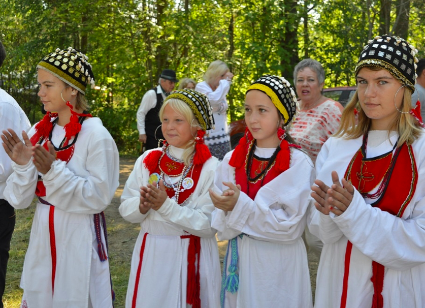 Финны какой народ. Вожане водь. Народы Ленинградской области водь Ижора. Коренные народы Ленинградской области водь. Малые народы Ленинградской области водь.