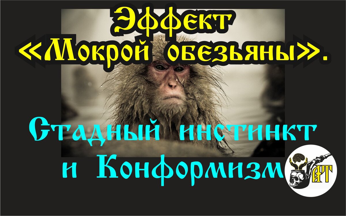 Как не следовать стадному инстинкту. Выгода нонконформизма. Эффект 