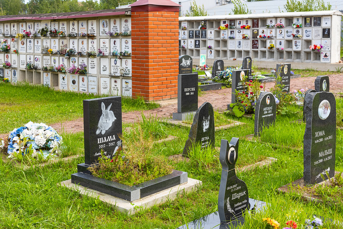 городское кладбище животных в спб электропультовцев. кладбище животных новозыбков. московское кладбище домашних животных. городское кладбище животных, санкт-петербург. городское кладбище животных в спб электропультовцев.