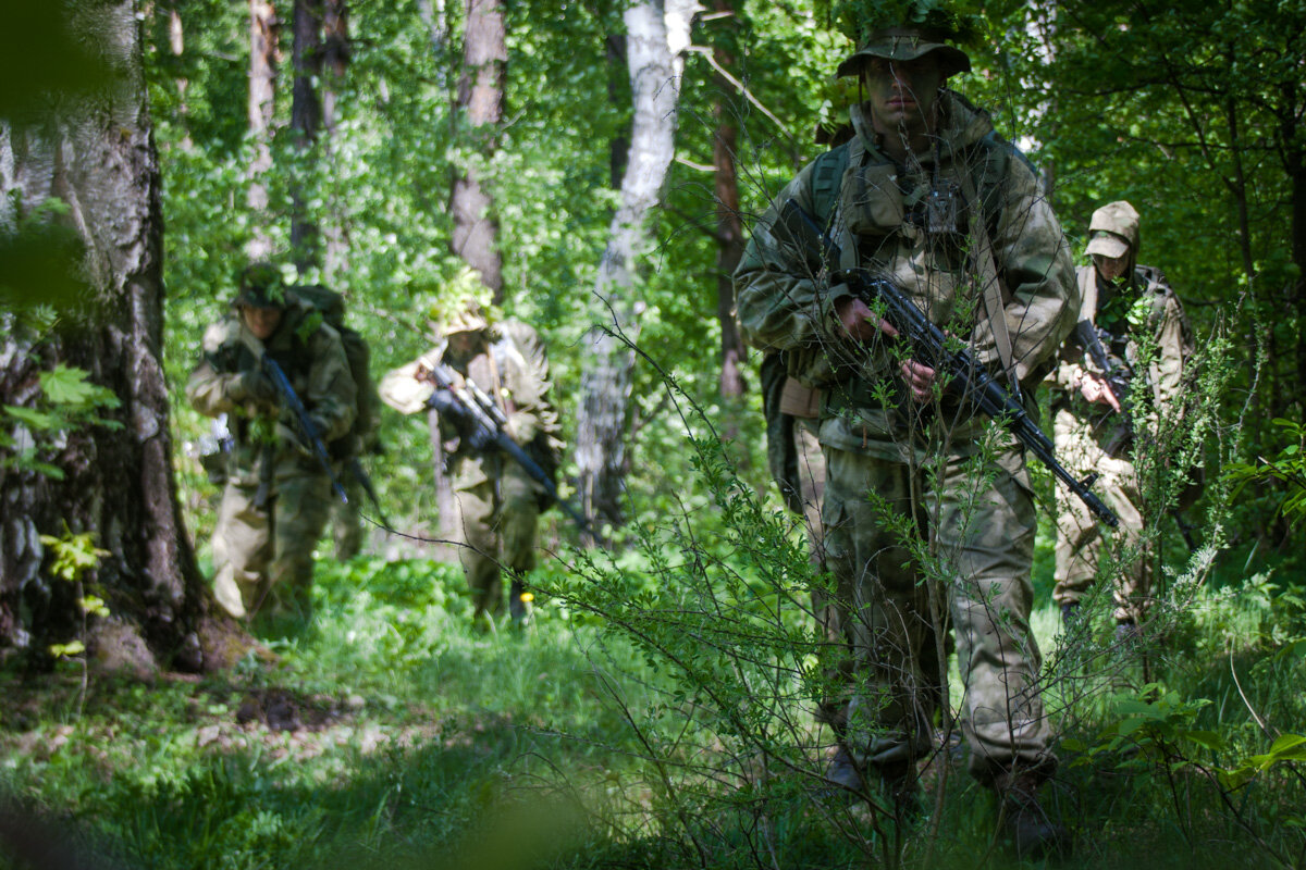 Боевой дозор. Тактическая разведка. Соревнования разведгрупп спецназа гру. Развед группа. Военные в лесу.