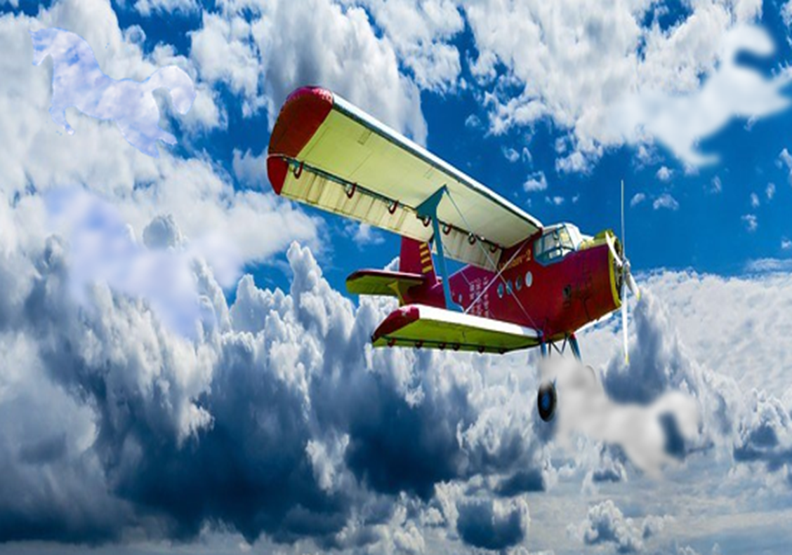 Найдите трех лошадей Оригинальная картинка pixabay.com