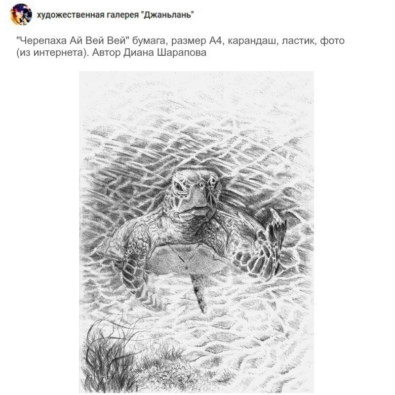 черепаха, карандаш