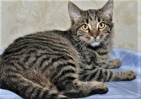 Я не хочу никого выбирать! Давайте жить дружно!