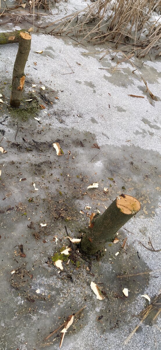 Столб основания мостика.