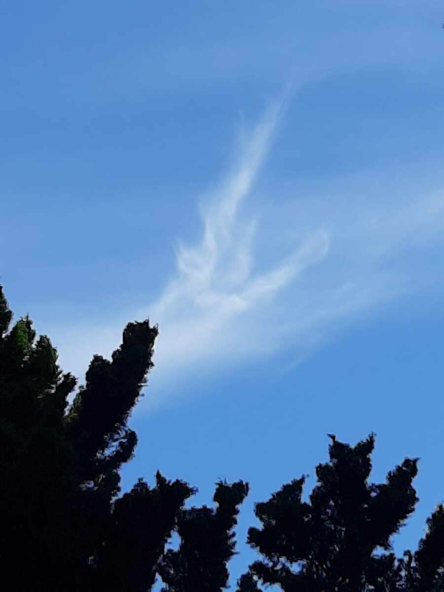 Небо Баден- Баден.