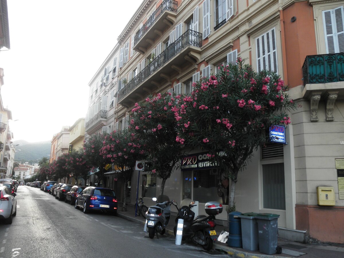 Мимо Ментоны проезжал "Разиня". Фото автора