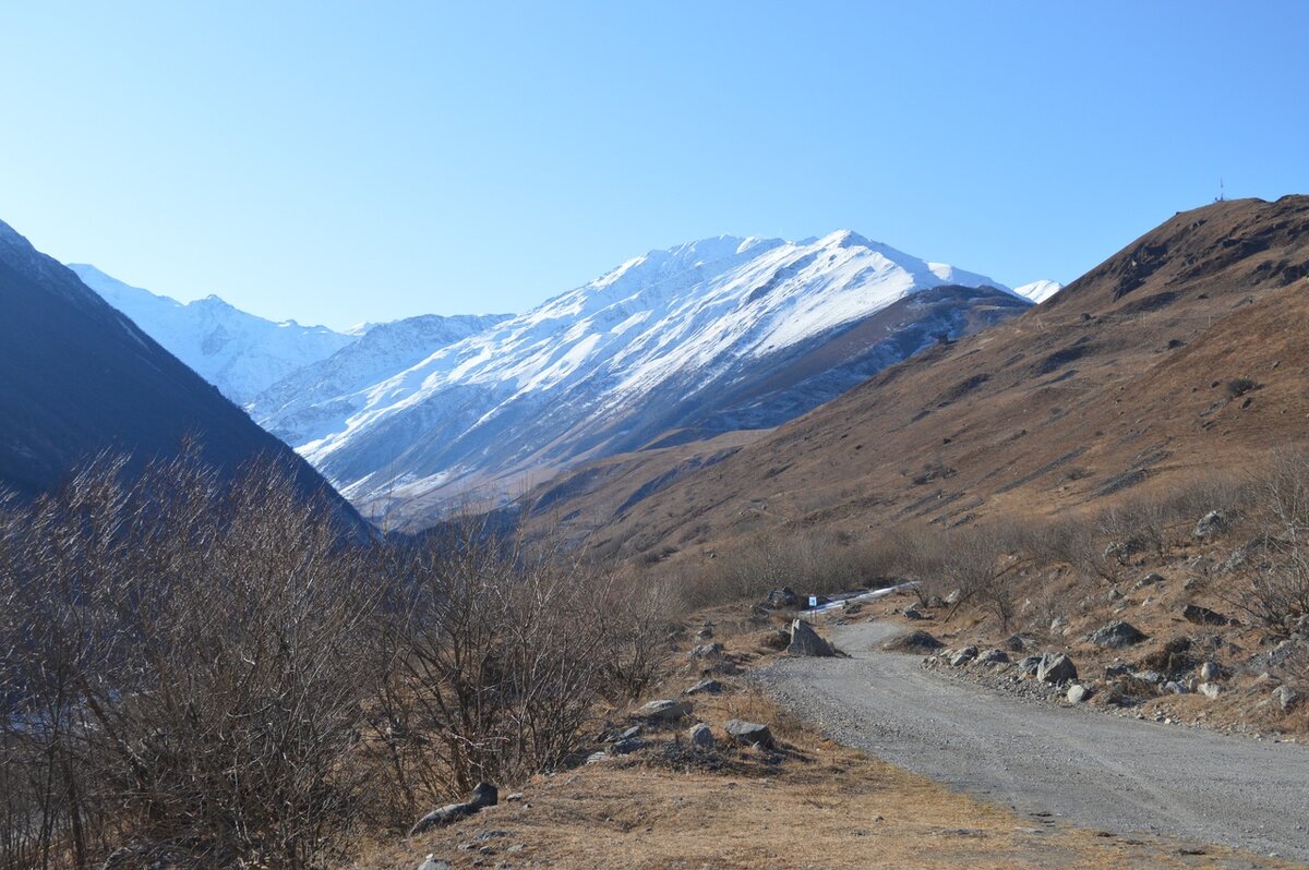 © СЕ ЧЕЛОВЕК