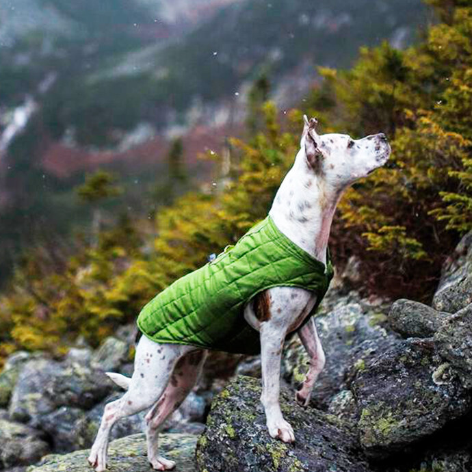 Для не очень холодной погоды