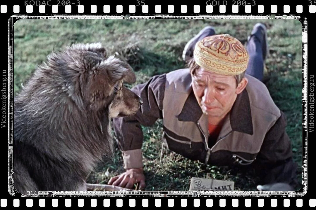 пес барбос и необычный кросс фильм 1961. пес барбос и необычайный кросс. пес барбос и необычный кросс (1961). пес барбос фильм. фильм пёс барбос и необычный кросс и самогонщики.