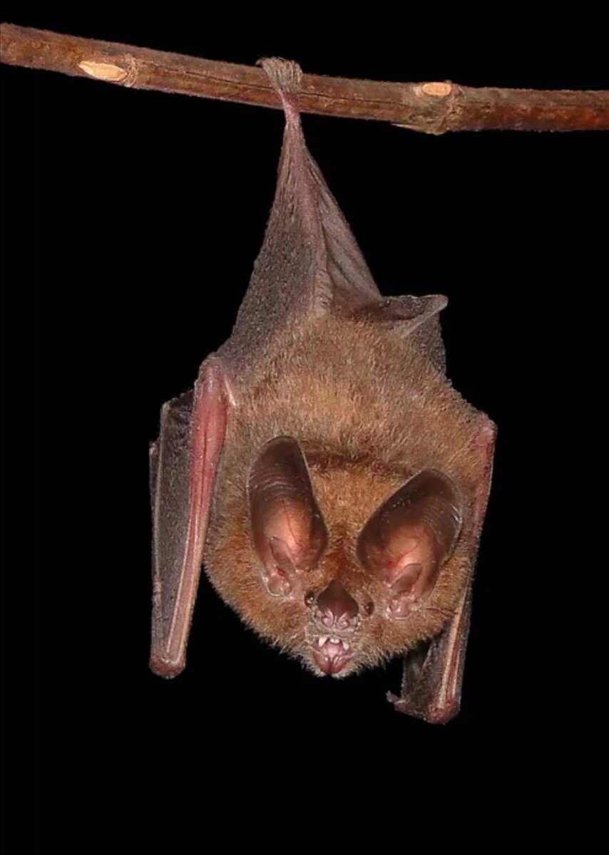 Картинка с просторов интернета 