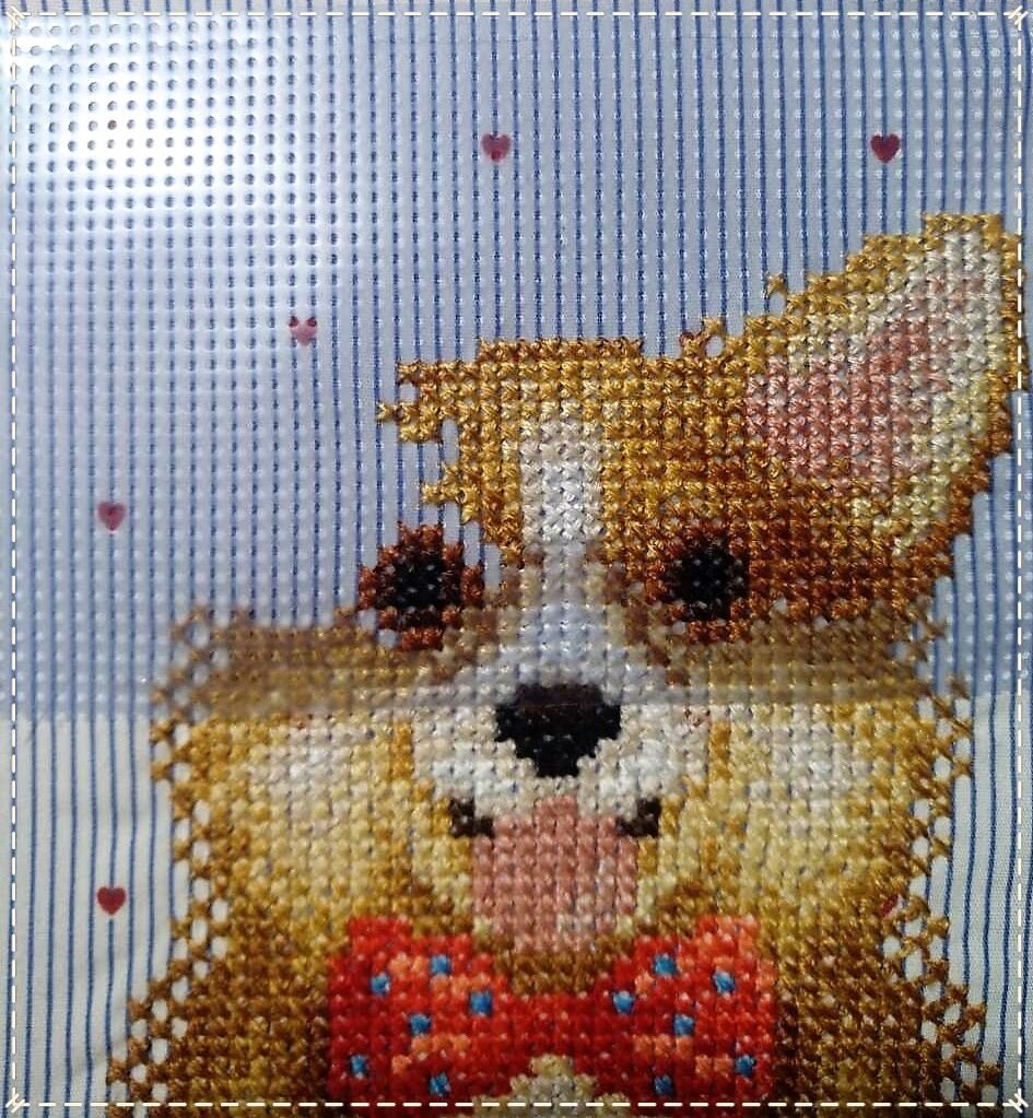 Моя борьба. Фото автора