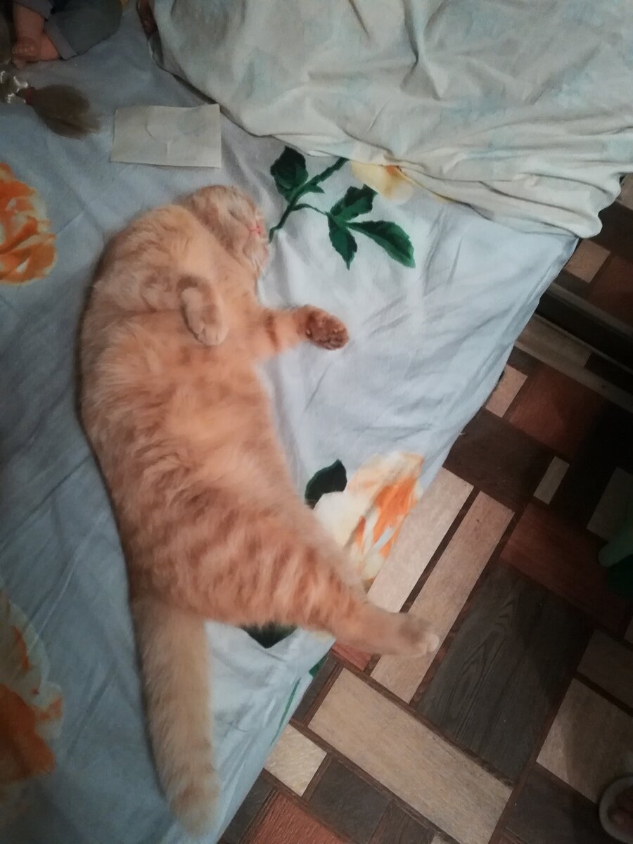 Улыбаюсь во сне )))