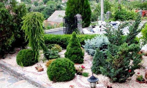 Ландшафтный дизайн с хвойными. https://au.ocmulgeesite.com