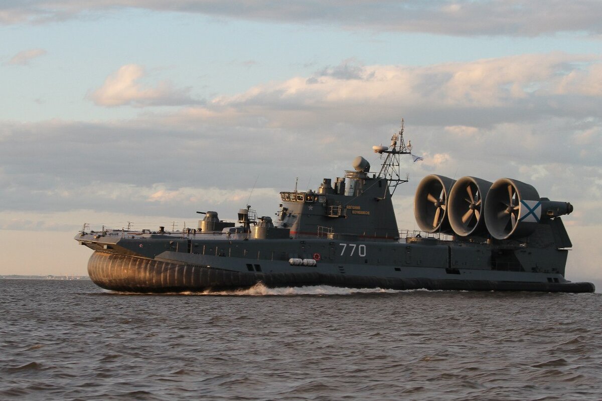 Проект зубр на воздушной подушке