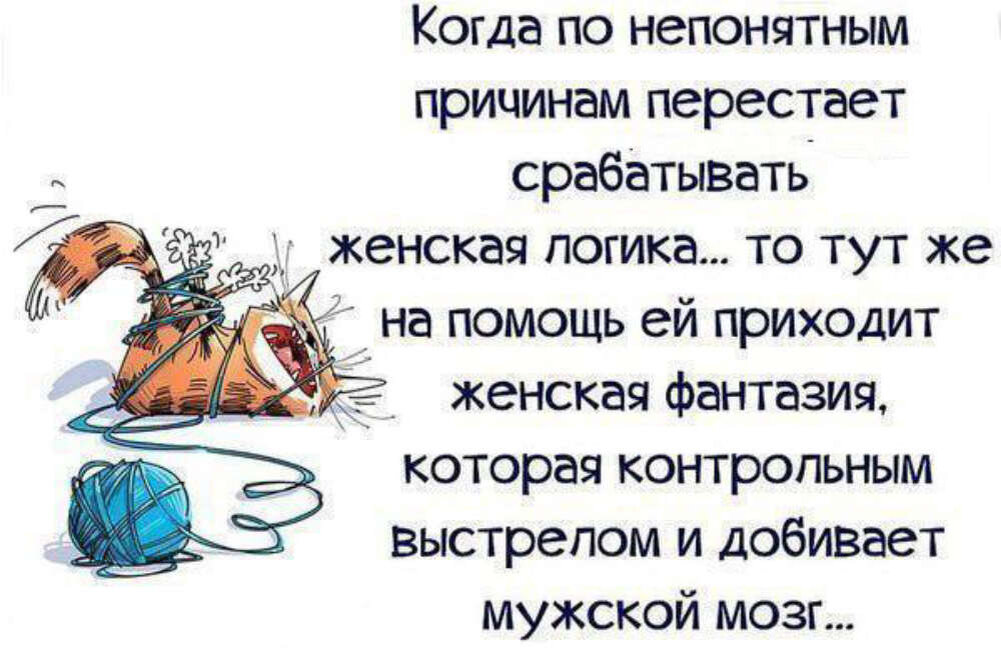 шуточные высказывания. мемные фразы. прикольные высказывания. умные фразы в картинках с юмором. юмор афоризмы.