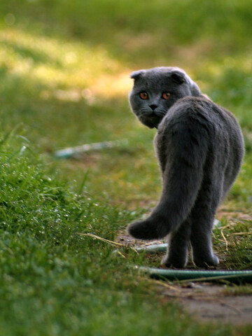 Фото из интернета