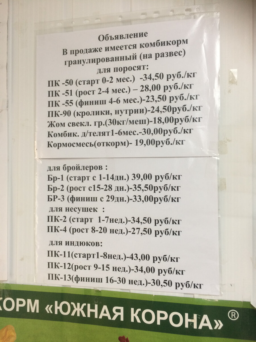 Что выгоднее, взять суточных цыплят и вырастить самим курицу несушку, или  купить молодку 5-ти месяцев. | Trophikana | Дзен