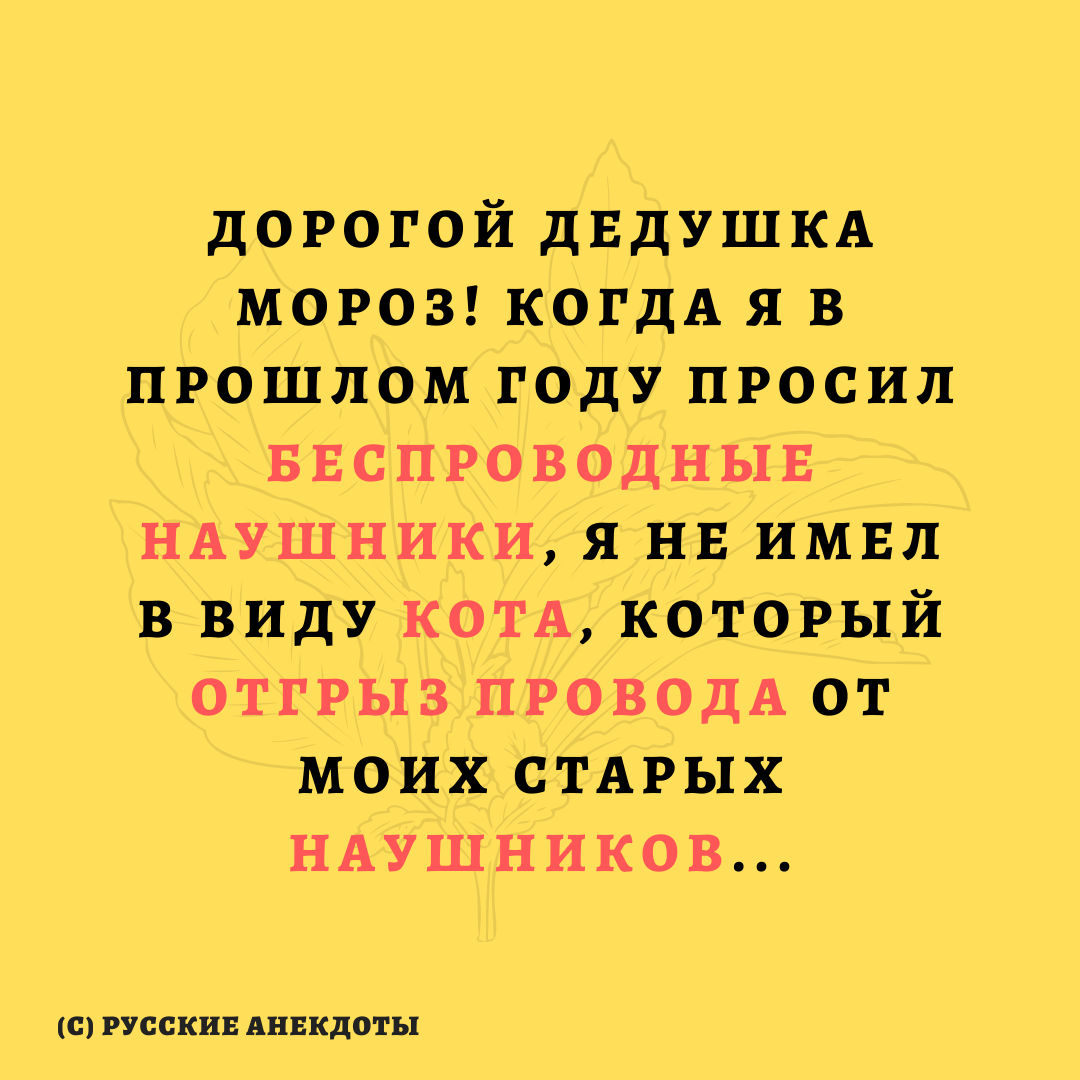 КОТ ОПЯТЬ ВСЁ СГРЫЗ