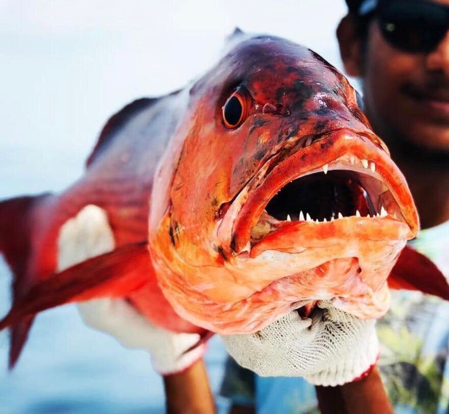 И вот такие красавцы попадаются :)