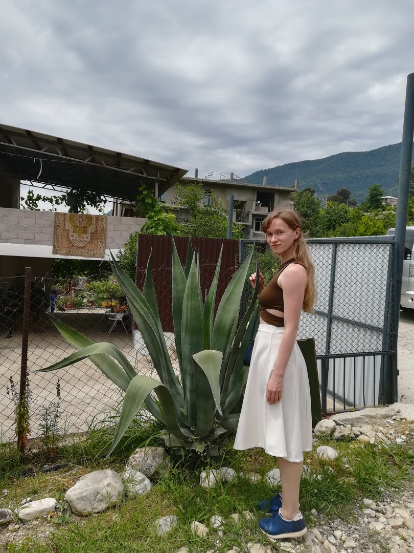 Растения Абхазии