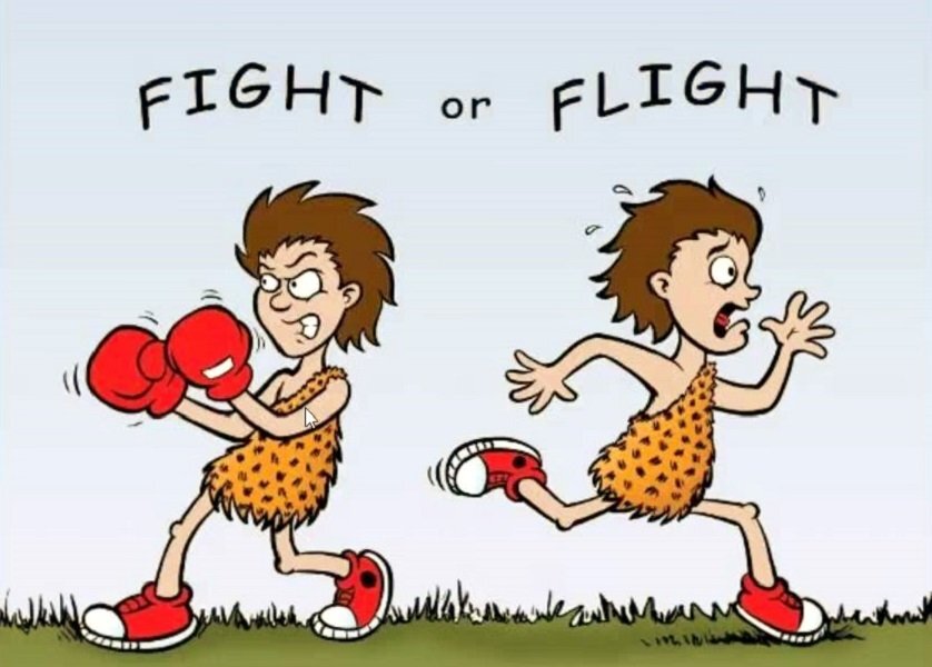 Иллюстрация взята из поисковой выборки сервиса "Картинки" от "Яндекса". 