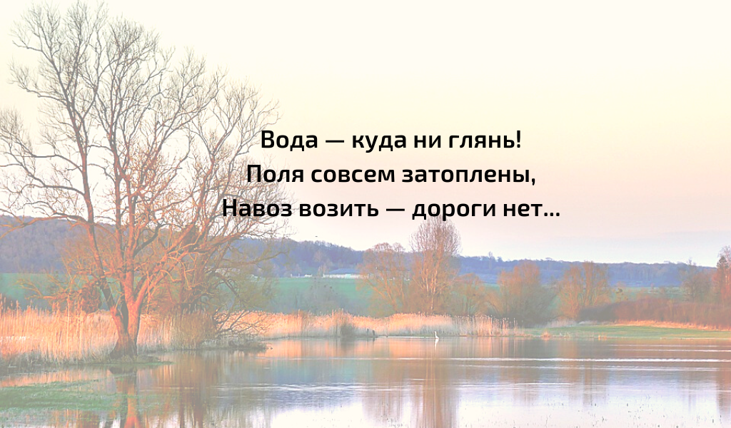 Н.А. Некрасов. Кому на Руси жить хорошо. Глава "Поп".