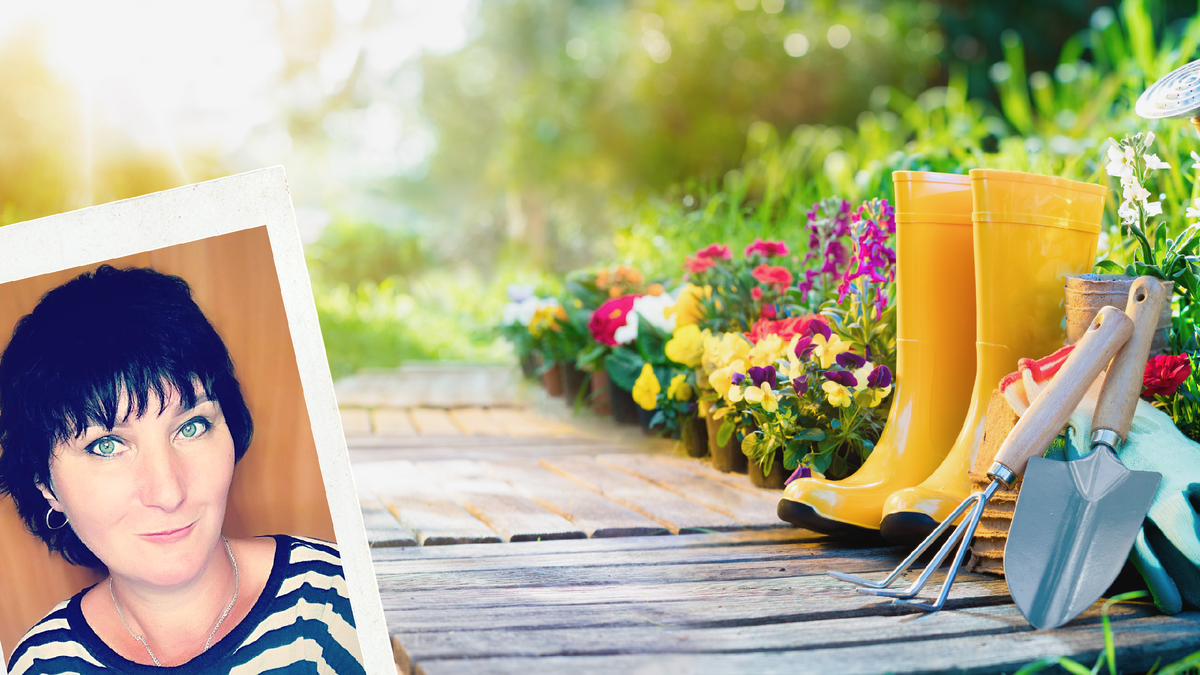 Елена-дача.ру это сайт, Дзен, Инстаграм и Ютуб-канал