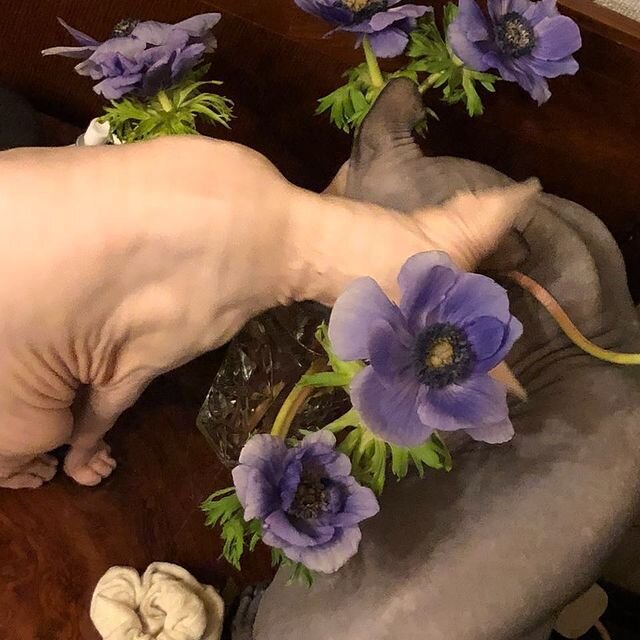 В нем таится краса и прелесть! Я надеюсь - он будет летний!