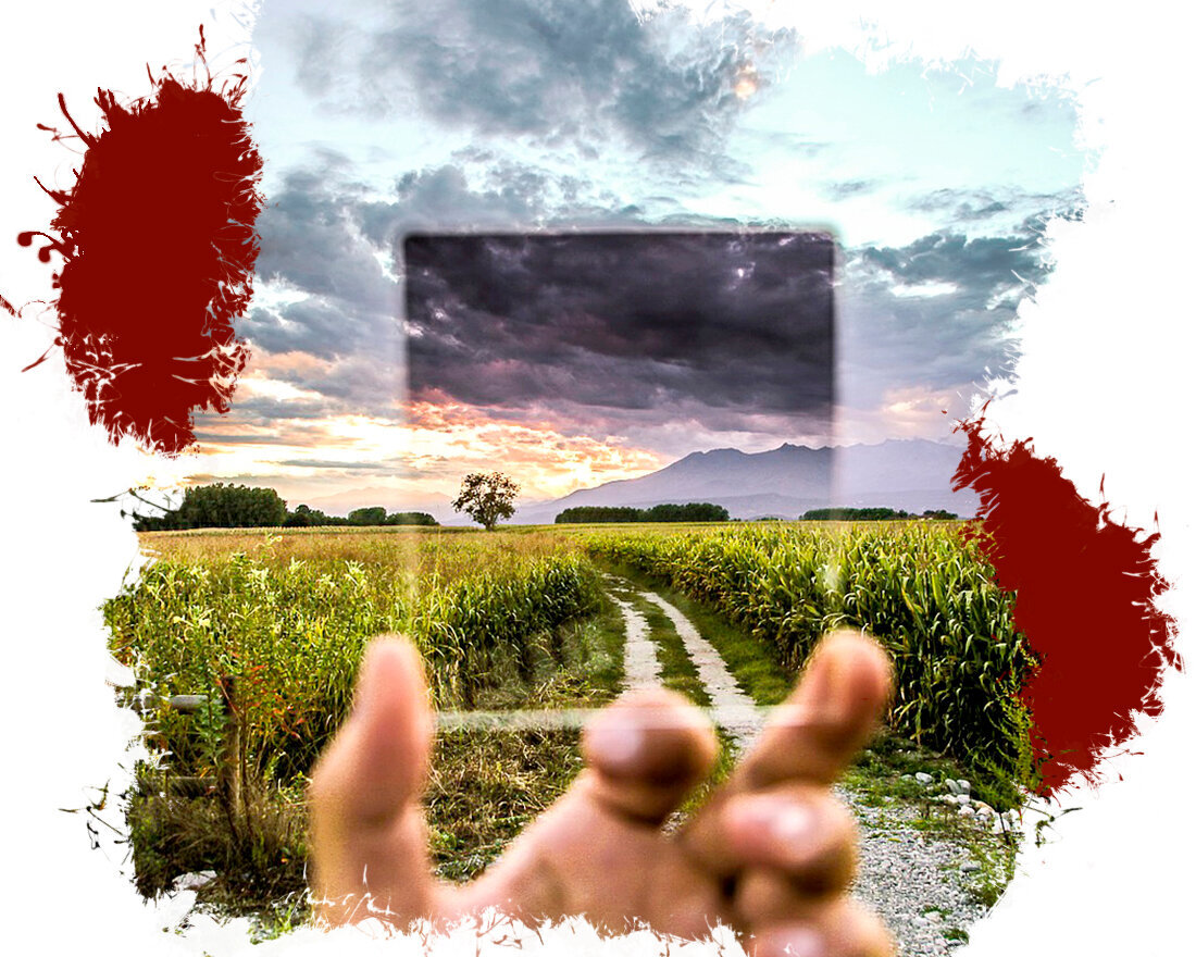 1. Image by SplitShire from Pixabay