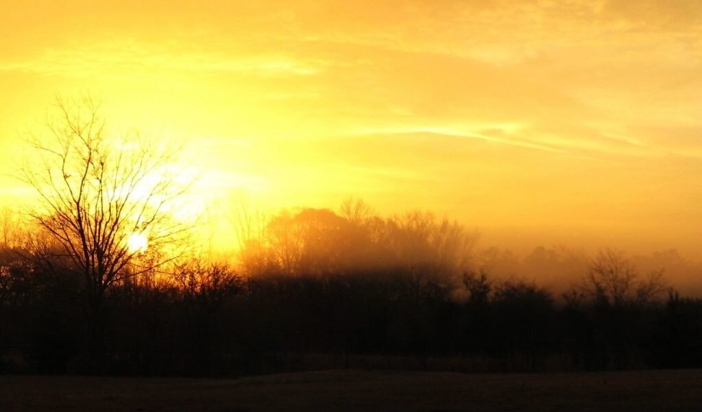 Фото: Doug Waldron/Flickr