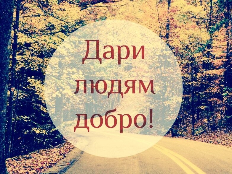 Яндекс картинки