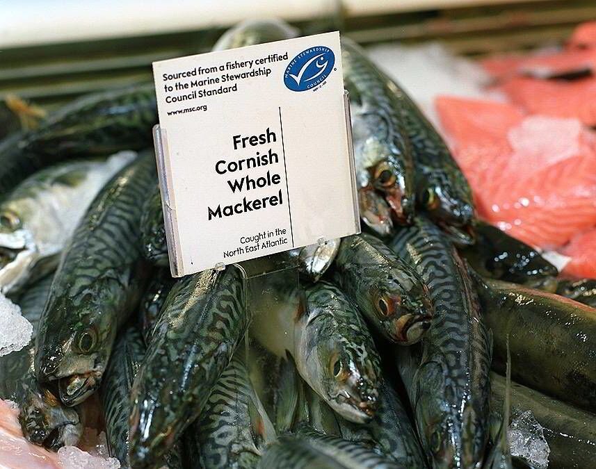 Источник: интернет