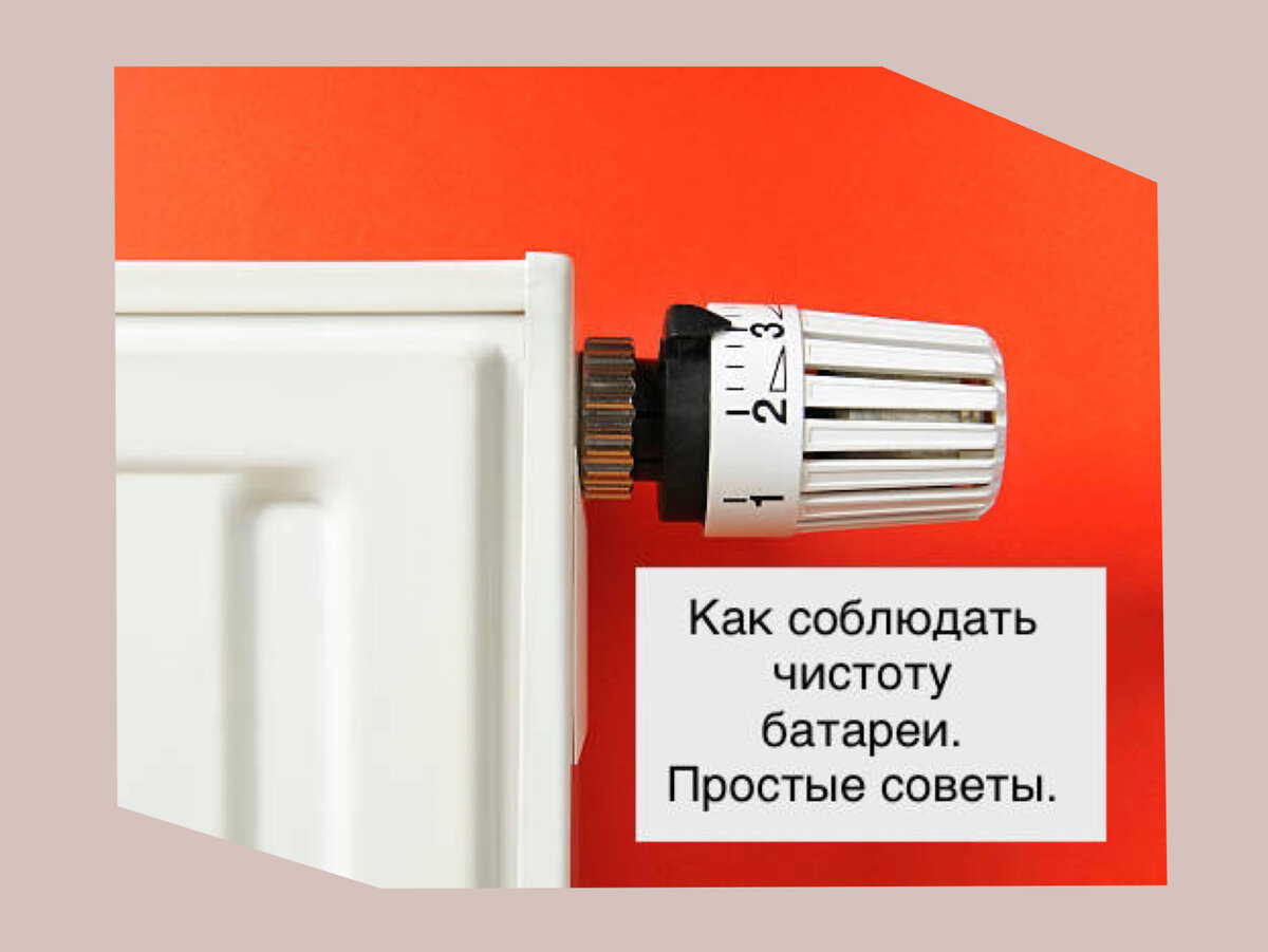 Источник фото: Pixabay.