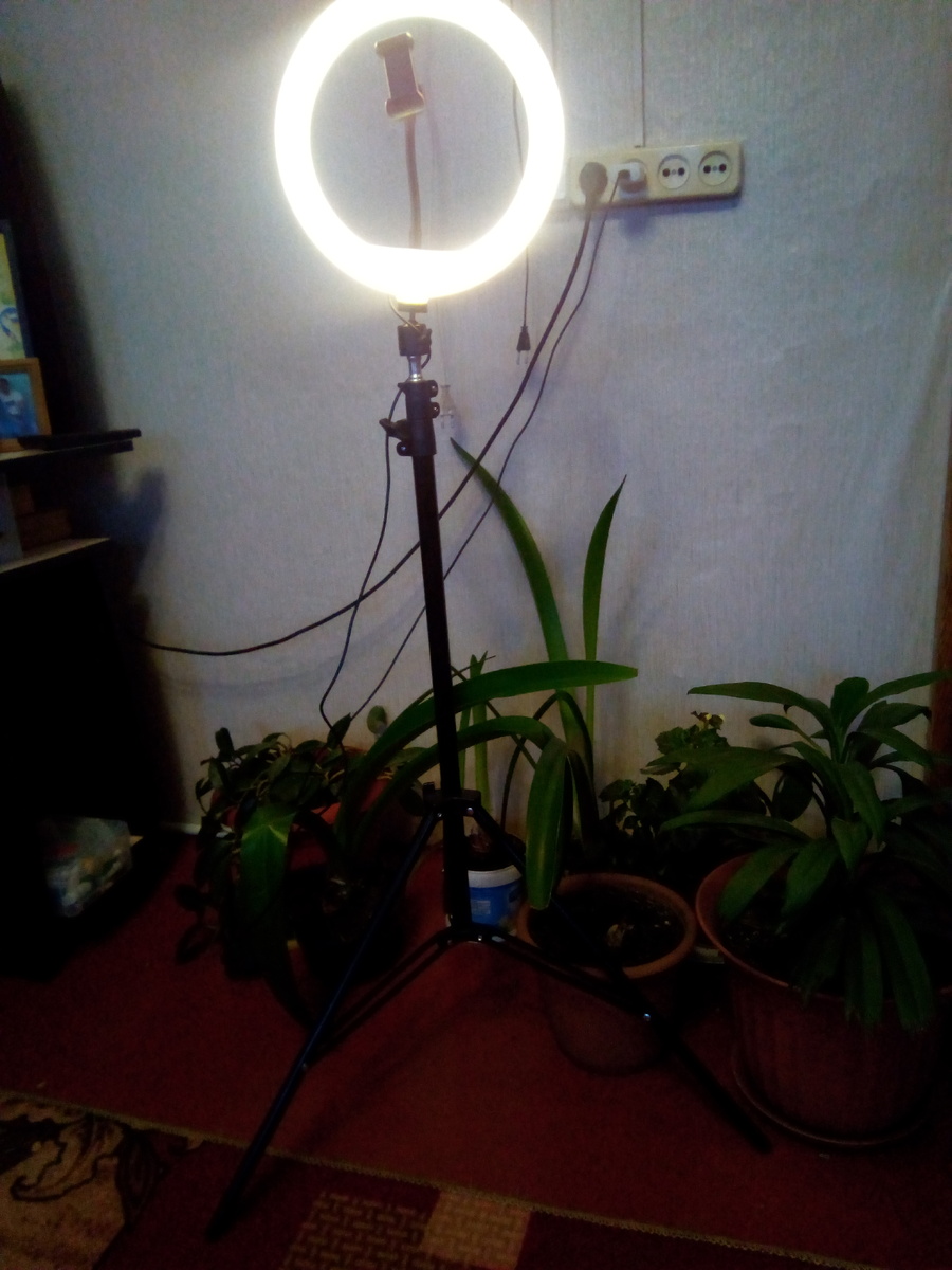 Моя прелесть