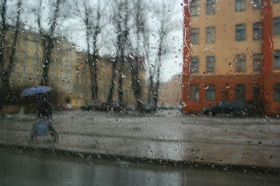 Фото —  kubannews.ru