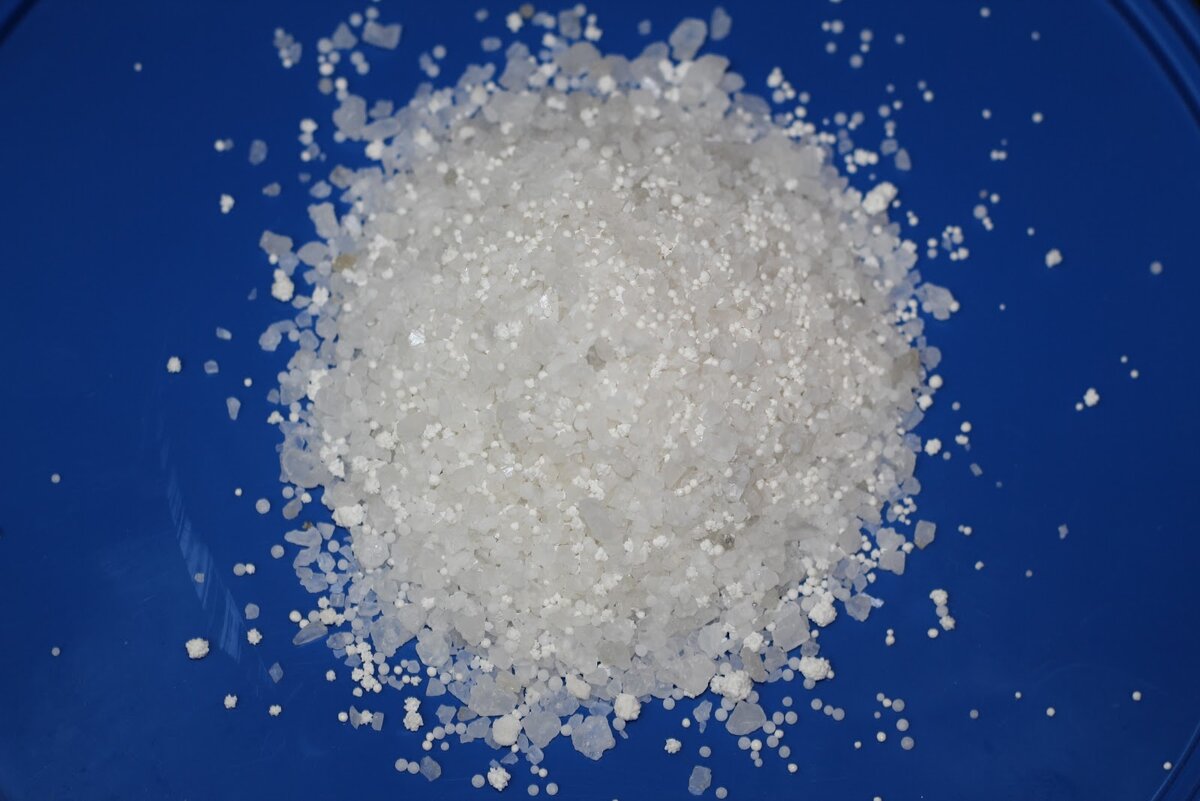 Бионорд во всей своей красе